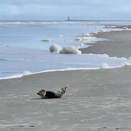 Im Park * Wangerooge
