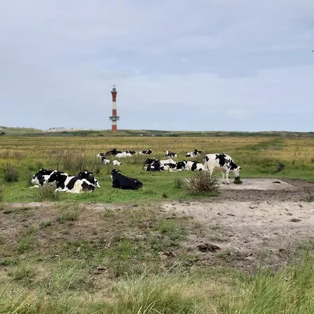 Im Park Wangerooge